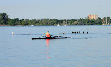 Sunnyside Boardwalk