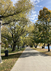 Sunnyside Boardwalk