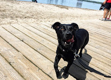 Sunnyside Boardwalk