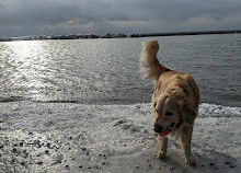 Sunnyside Boardwalk