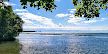 Sunnyside Boardwalk