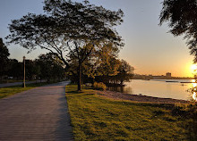 Sunnyside Boardwalk