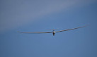 Scottish Gliding Centre