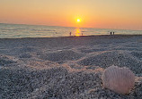 Nokomis Beach