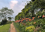 Ceylon Tea Trails - Dunkeld Bungalow