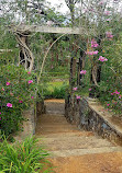 Ceylon Tea Trails - Tientsin Bungalow