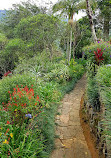 Ceylon Tea Trails - Tientsin Bungalow