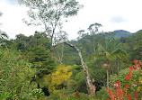 Ceylon Tea Trails - Tientsin Bungalow