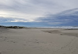 Heceta Beach County Park