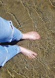 Heceta Beach County Park