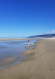 Heceta Beach County Park