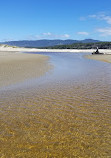 Heceta Beach County Park