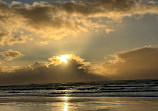 Heceta Beach County Park