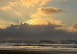 Heceta Beach County Park