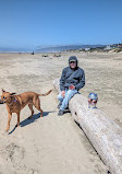 Heceta Beach County Park