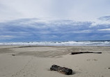 Heceta Beach County Park