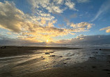 Heceta Beach County Park