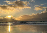 Heceta Beach County Park