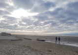 Heceta Beach County Park