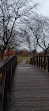 Phalen Picnic Shelter