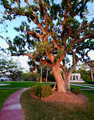 Marie Selby Botanical Gardens Historic Spanish Point campus