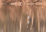 Huffman MetroPark