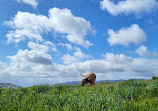 Bernal Peak