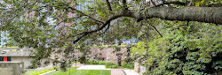 Hirshhorn Sculpture Garden