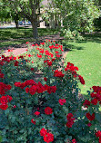 QVG Rose Garden