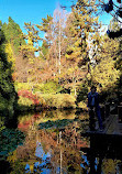 Royal Tasmanian Botanical Gardens