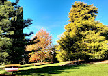 Royal Tasmanian Botanical Gardens