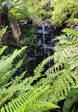 Royal Tasmanian Botanical Gardens