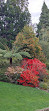 Royal Tasmanian Botanical Gardens