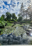 Royal Tasmanian Botanical Gardens