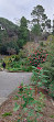 Royal Tasmanian Botanical Gardens