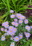 Royal Tasmanian Botanical Gardens