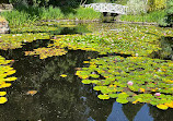 Royal Tasmanian Botanical Gardens