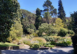 Royal Tasmanian Botanical Gardens