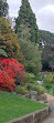 Royal Tasmanian Botanical Gardens