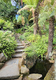 Royal Tasmanian Botanical Gardens