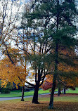 Royal Tasmanian Botanical Gardens