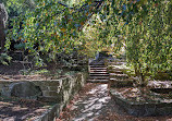 Royal Tasmanian Botanical Gardens