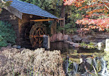 Royal Tasmanian Botanical Gardens