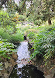 Royal Tasmanian Botanical Gardens