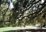 Royal Tasmanian Botanical Gardens