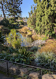 Royal Tasmanian Botanical Gardens