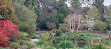 Royal Tasmanian Botanical Gardens