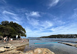 Fairlight Beach Rockpool