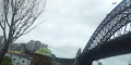 Dawes Point Reserve