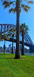 Dawes Point Reserve